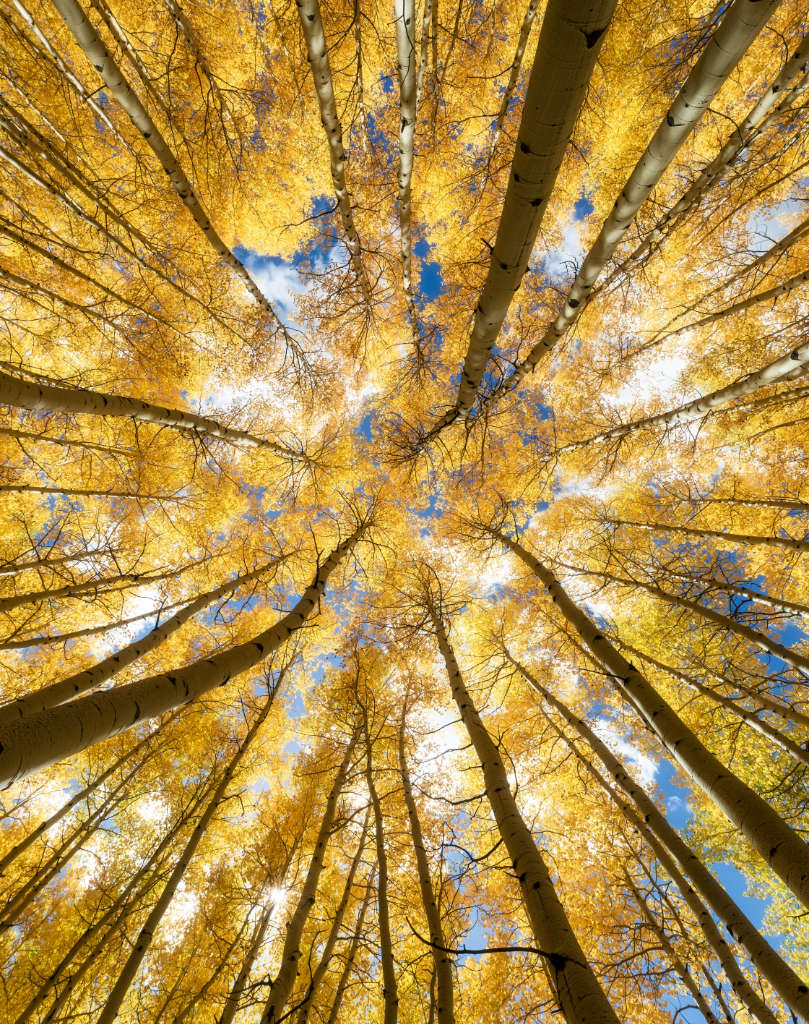 Riload - The Recharge Flow